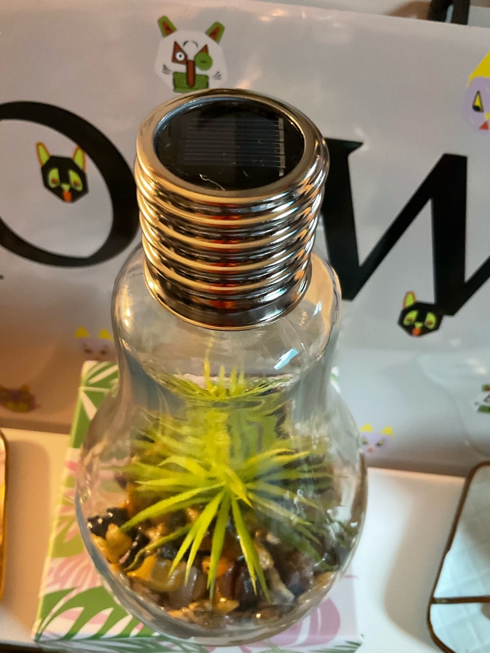 Solar Powered Glass Bulb Terrarium with Faux Succulent - Clear - Picture 5 of 6
